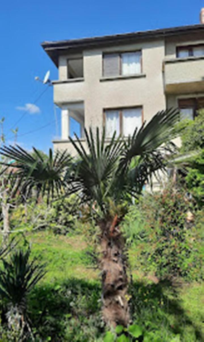Варвара- Ятрус Apartment Bagian luar foto